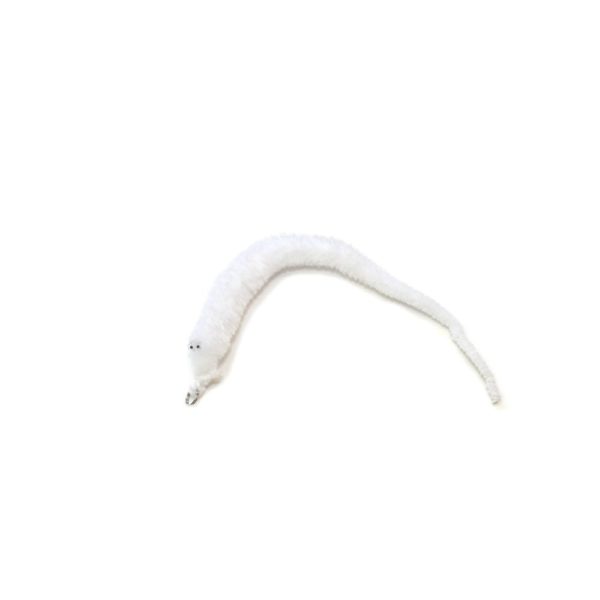 TeaZ’r Tip • Worm • White