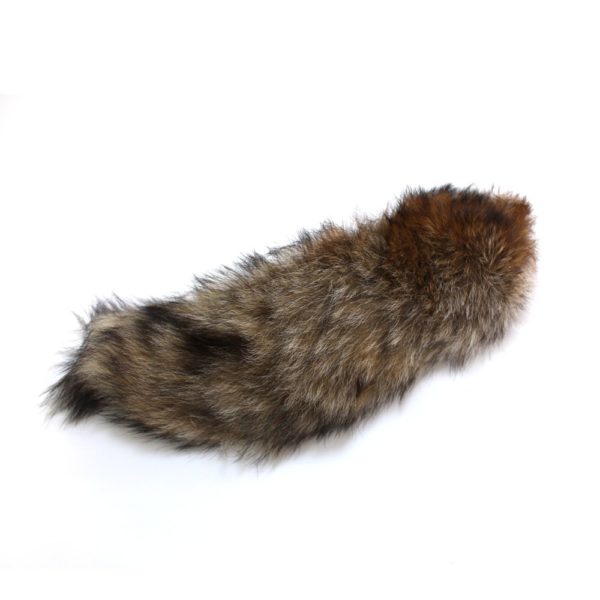Queue de renard - Grande